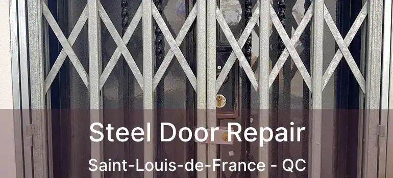  Steel Door Repair Saint-Louis-de-France - QC