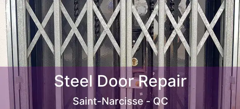  Steel Door Repair Saint-Narcisse - QC