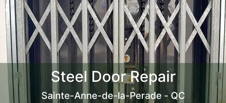  Steel Door Repair Sainte-Anne-de-la-Perade - QC