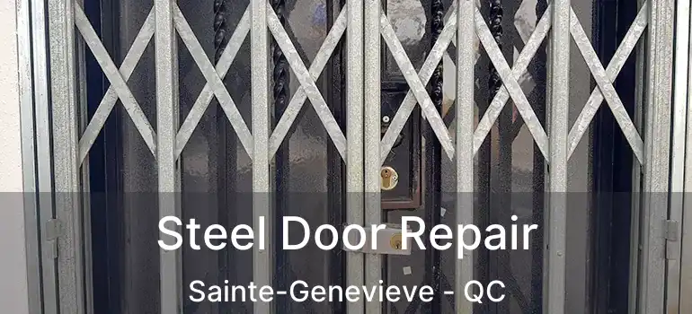  Steel Door Repair Sainte-Genevieve - QC