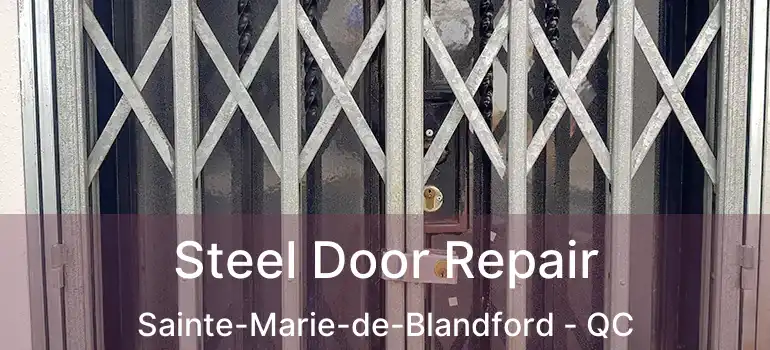  Steel Door Repair Sainte-Marie-de-Blandford - QC