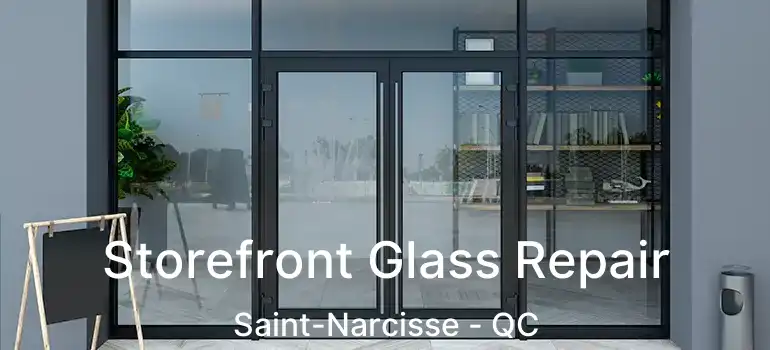  Storefront Glass Repair Saint-Narcisse - QC