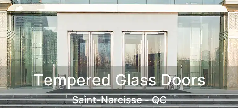  Tempered Glass Doors Saint-Narcisse - QC