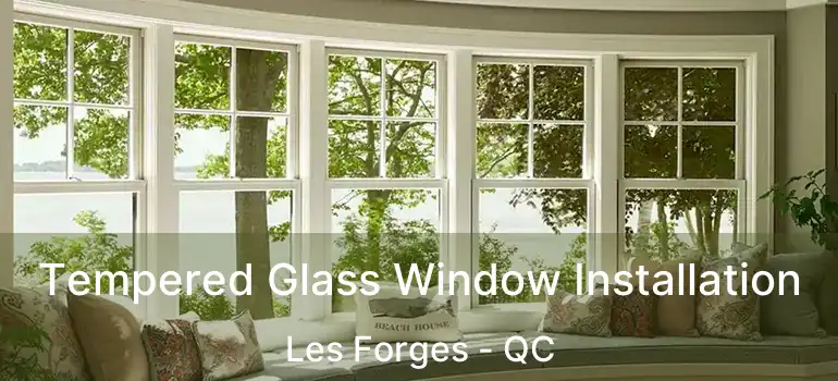  Tempered Glass Window Installation Les Forges - QC