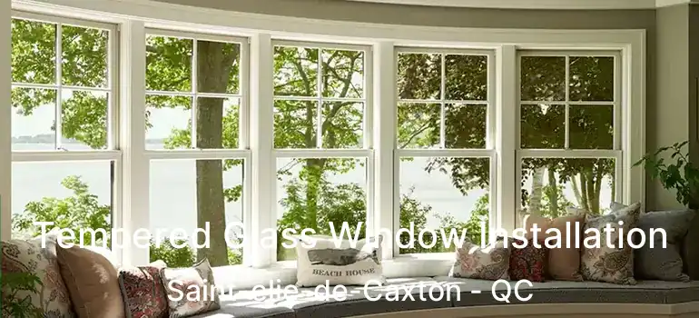  Tempered Glass Window Installation Saint-elie-de-Caxton - QC