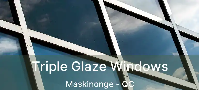  Triple Glaze Windows Maskinonge - QC