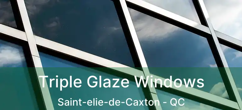  Triple Glaze Windows Saint-elie-de-Caxton - QC