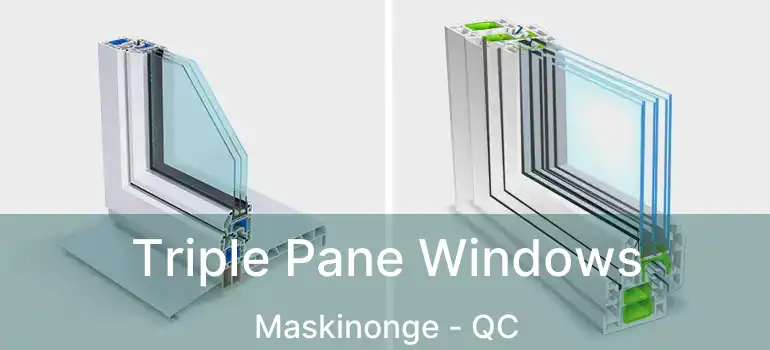 Triple Pane Windows Maskinonge - QC