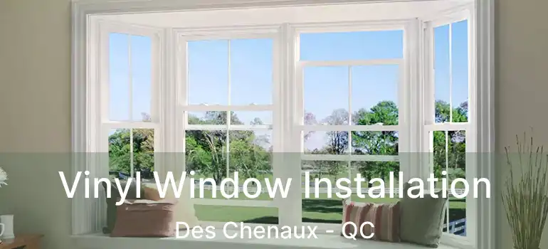  Vinyl Window Installation Des Chenaux - QC