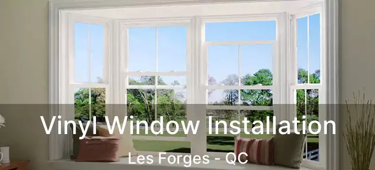  Vinyl Window Installation Les Forges - QC