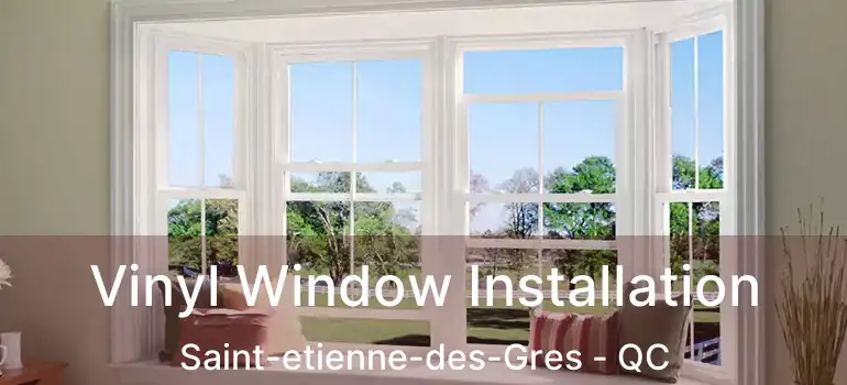  Vinyl Window Installation Saint-etienne-des-Gres - QC