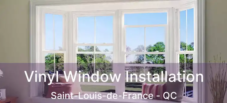  Vinyl Window Installation Saint-Louis-de-France - QC