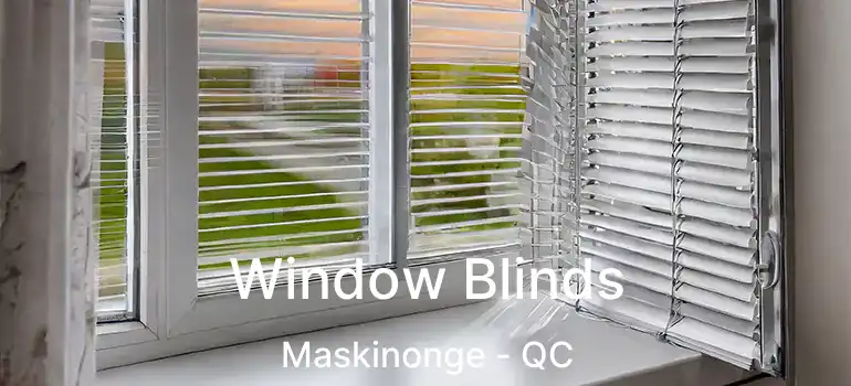  Window Blinds Maskinonge - QC