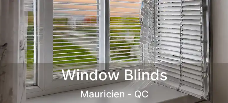  Window Blinds Mauricien - QC