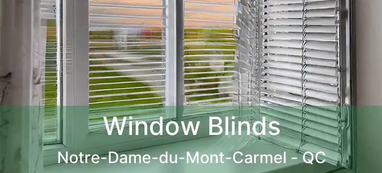  Window Blinds Notre-Dame-du-Mont-Carmel - QC
