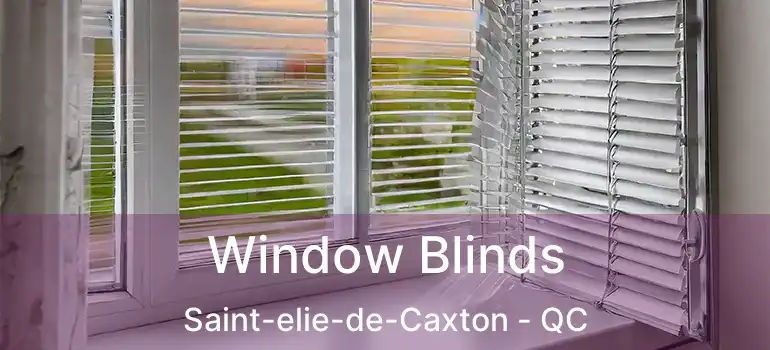  Window Blinds Saint-elie-de-Caxton - QC