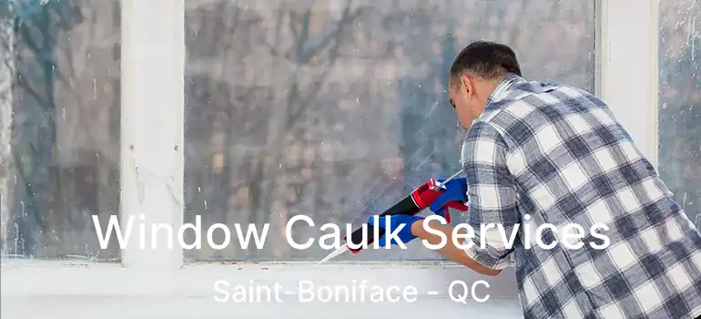  Window Caulk Services Saint-Boniface - QC