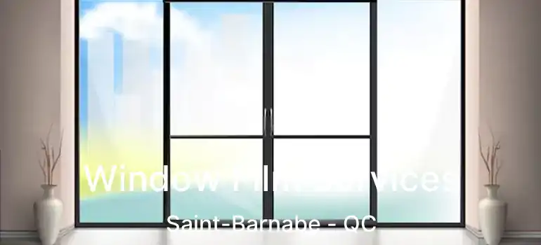  Window Film Services Saint-Barnabe - QC