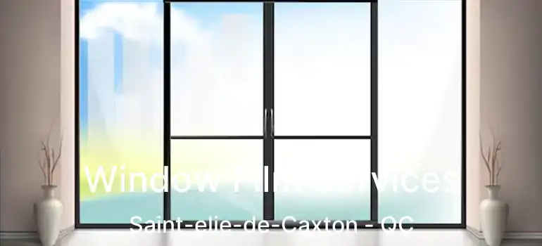  Window Film Services Saint-elie-de-Caxton - QC
