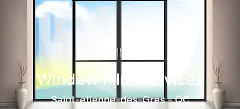  Window Film Services Saint-etienne-des-Gres - QC
