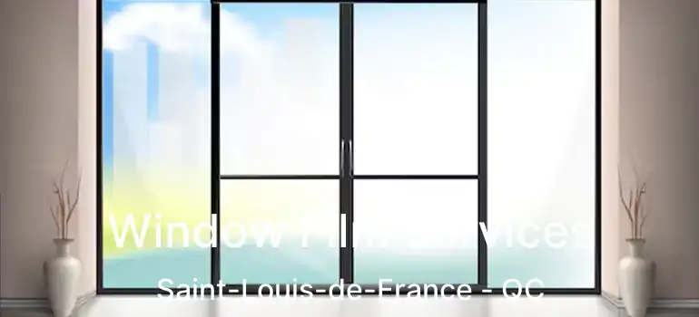  Window Film Services Saint-Louis-de-France - QC