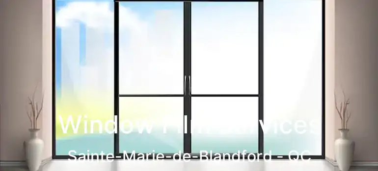  Window Film Services Sainte-Marie-de-Blandford - QC