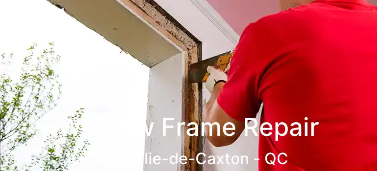  Window Frame Repair Saint-elie-de-Caxton - QC