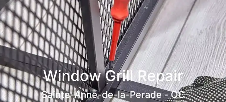  Window Grill Repair Sainte-Anne-de-la-Perade - QC