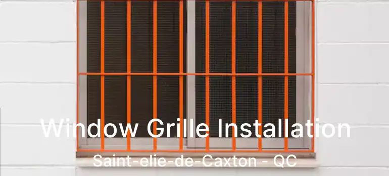  Window Grille Installation Saint-elie-de-Caxton - QC