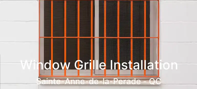  Window Grille Installation Sainte-Anne-de-la-Perade - QC