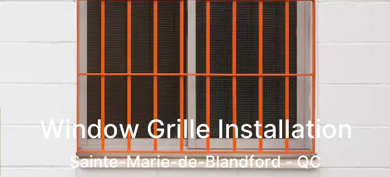  Window Grille Installation Sainte-Marie-de-Blandford - QC