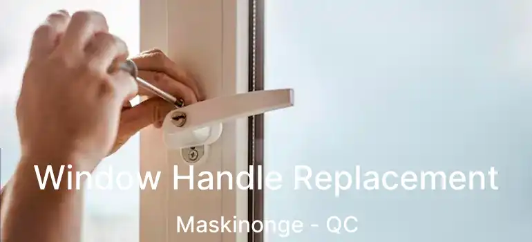  Window Handle Replacement Maskinonge - QC