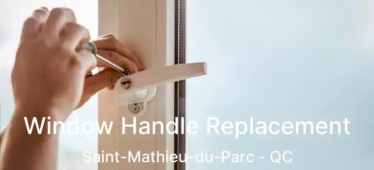  Window Handle Replacement Saint-Mathieu-du-Parc - QC