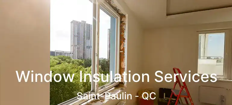  Window Insulation Services Saint-Paulin - QC
