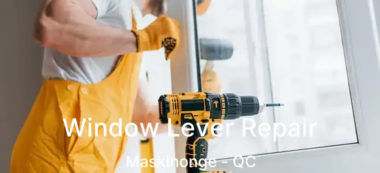  Window Lever Repair Maskinonge - QC