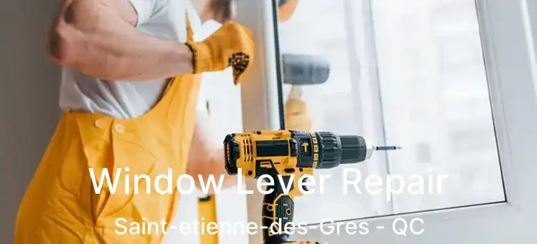  Window Lever Repair Saint-etienne-des-Gres - QC