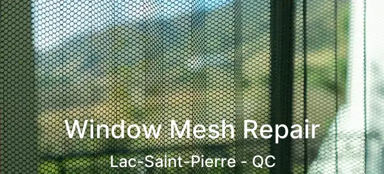 Window Mesh Repair Lac-Saint-Pierre - QC