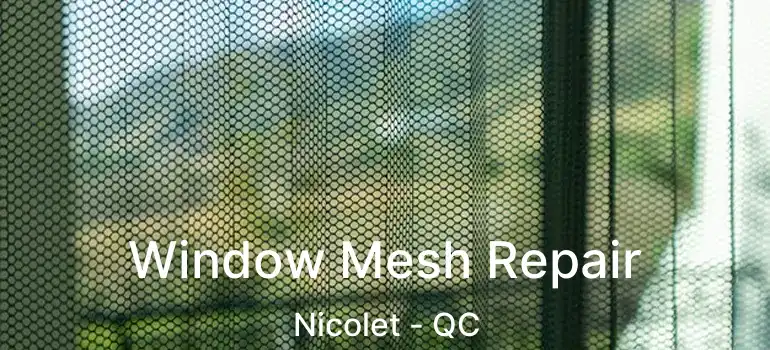  Window Mesh Repair Nicolet - QC