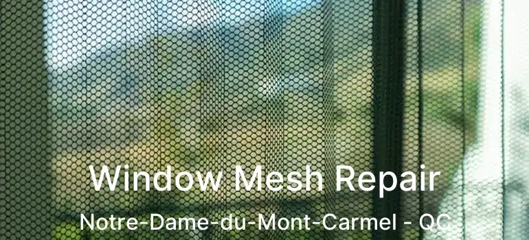  Window Mesh Repair Notre-Dame-du-Mont-Carmel - QC