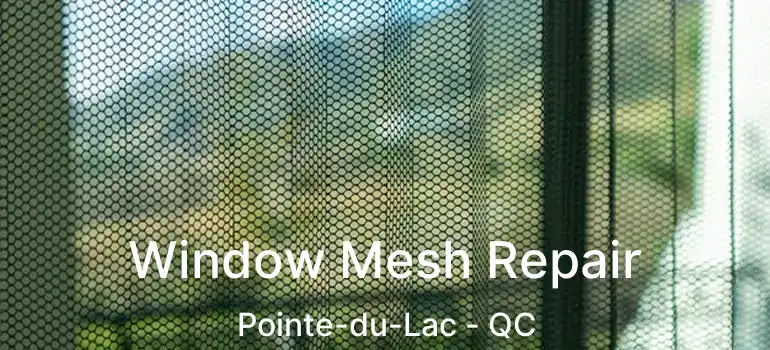  Window Mesh Repair Pointe-du-Lac - QC