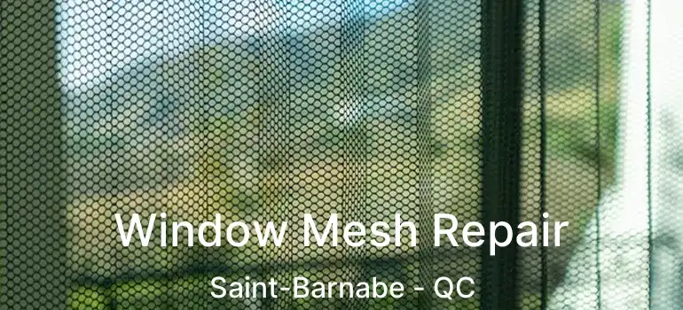 Window Mesh Repair Saint-Barnabe - QC