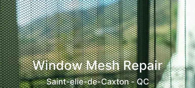  Window Mesh Repair Saint-elie-de-Caxton - QC