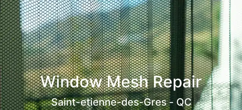  Window Mesh Repair Saint-etienne-des-Gres - QC