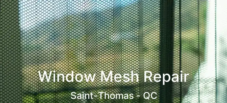  Window Mesh Repair Saint-Thomas - QC