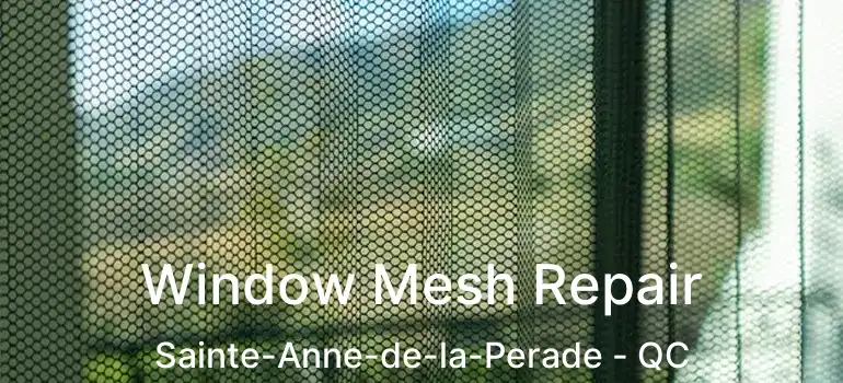  Window Mesh Repair Sainte-Anne-de-la-Perade - QC