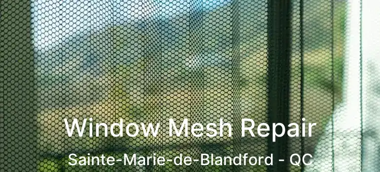  Window Mesh Repair Sainte-Marie-de-Blandford - QC