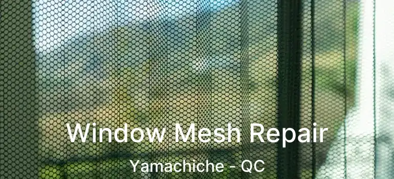  Window Mesh Repair Yamachiche - QC