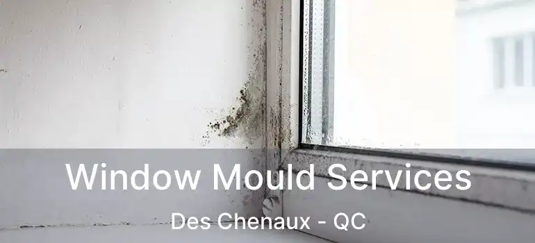  Window Mould Services Des Chenaux - QC