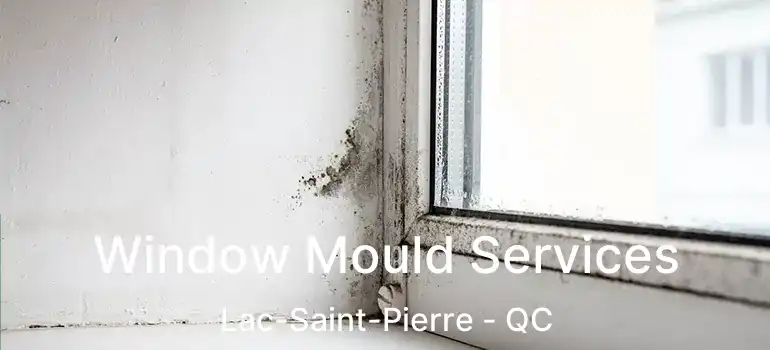  Window Mould Services Lac-Saint-Pierre - QC