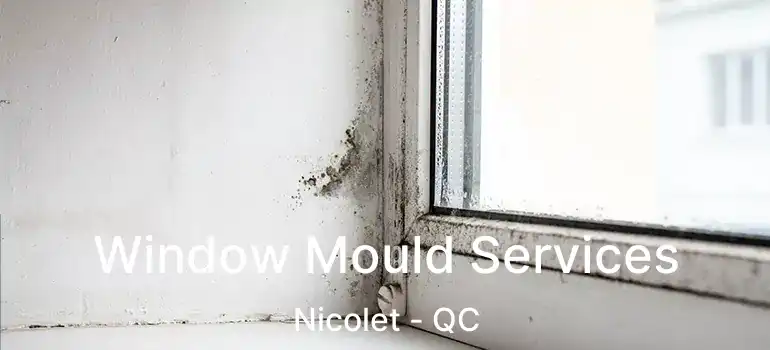  Window Mould Services Nicolet - QC